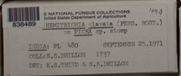 Image Associated With the Occurence